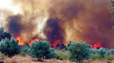 المغرب يواصل جهوده لإخماد النيران في جهات البلاد