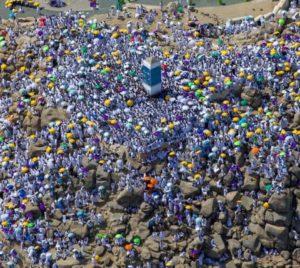 الحجاج يقفون على صعيد عرفات لأداء الركن الأعظم