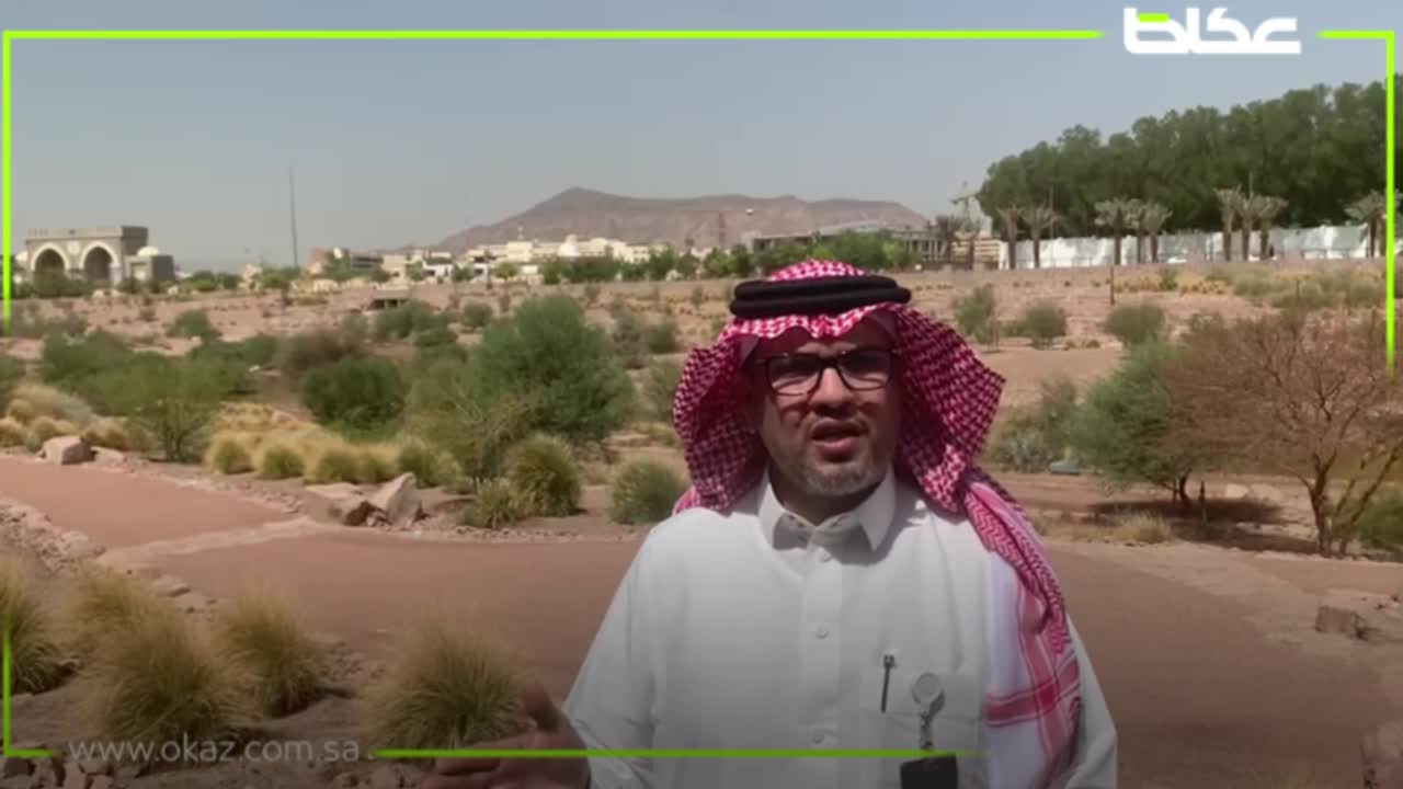 الباحث التاريخي فؤاد المغامسي يتحدث لعكاظ عن أهمية وادي العقيق التاريخي في المدينة المنورة، وعودة مجرى السيل بعد انقطاع 4 سنوات – أخبار السعودية