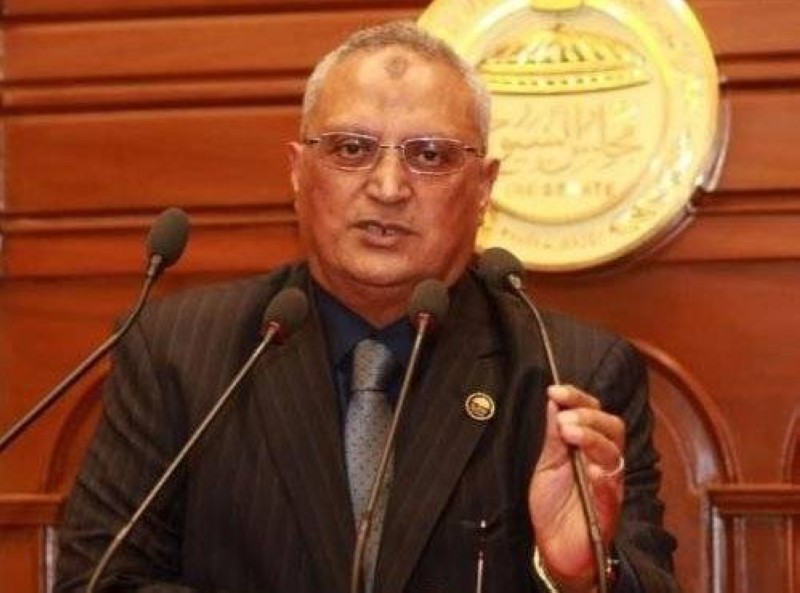 برلماني مصري: التضليل والشائعات سلاح الإخوان لنشر الإرهاب – أخبار السعودية