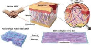 تطوير جلد صناعي أيوني مرن ذاتي الشفاء