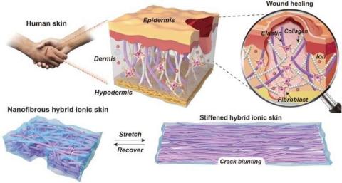 تطوير جلد صناعي أيوني مرن ذاتي الشفاء