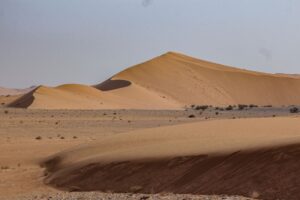 إطلاق مبادرة تطوير القدرة على الاستعداد للجفاف – أخبار السعودية