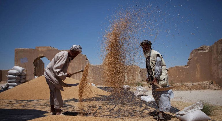 منظمة الفاو: توقعات بارتفاع فاتورة الواردات الغذائية العالمية إلى مستوى قياسي