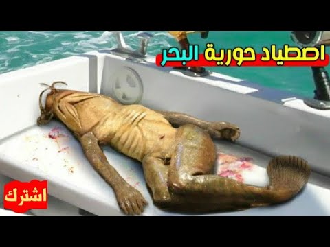 أغرب أنواع الأسماك التي تم اصطيادها | تعرف عليها مفاجأة مذهلة!!