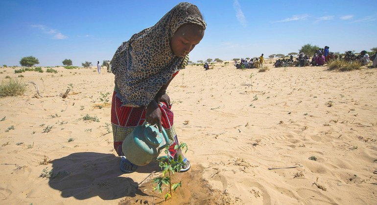 وفق المنظمة العالمية للأرصاد الجوية، أجزاء كبيرة من العالم كانت أكثر جفافا من المعتاد في عام 2021