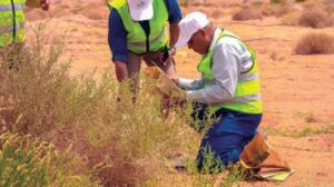 تأكيد سعودي على أهمية التحوّل في مجال الطاقة لمعالجة تحديات المناخ