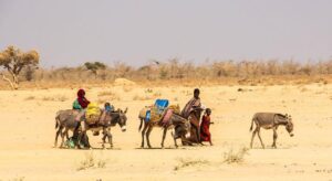 المنظمة الدولية للهجرة تعرب عن الصدمة إزاء وفاة 27 مهاجرا إثيوبيا في زامبيا داعية الحكومات إلى كفالة سلامة المهاجرين