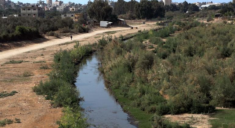 بعد أن كان مكباً للنفايات .. الحياة تدب في وادي غزة ليعود محمية طبيعية