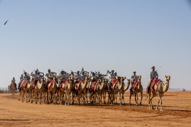 بعرضين تراثيين.. الهجانة السلطانية تواصل حضورها المميز – أخبار السعودية