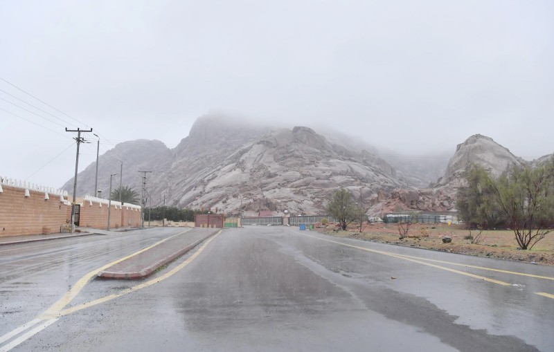 «شتاء حائل».. مطر وضباب وطبيعة