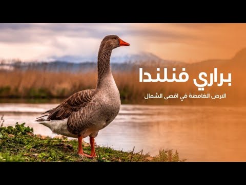 براري فنلندا الارض الغامضة في اقصى الشمال تلهم المستكشفين حول العالم | كويست عربية Quest Arabiya