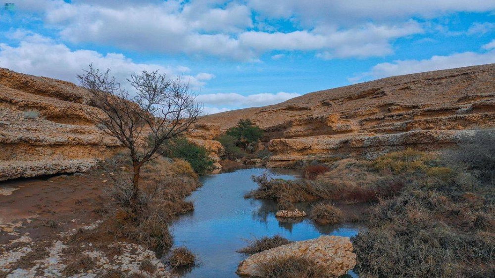 تسجيل محمية الملك عبدالعزيز الملكية في قاعدة البيانات العالمية للمناطق المحمية – أخبار السعودية