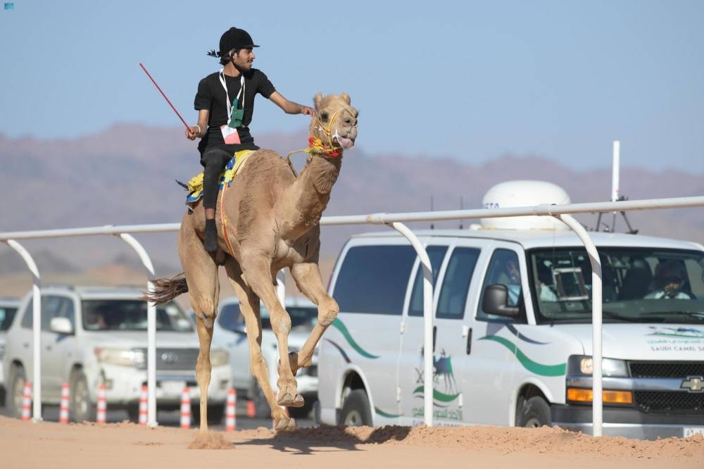 كأس العلا.. أول بطولة تتساوى فيها الجوائز – أخبار السعودية