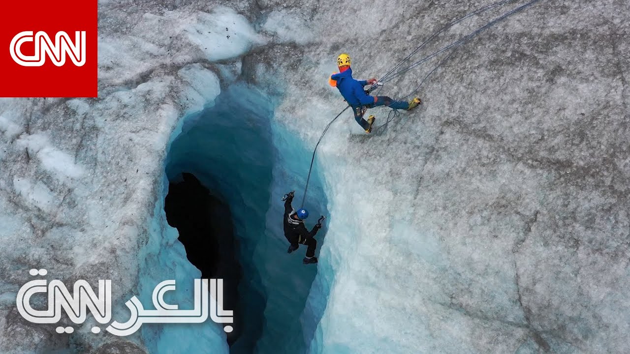 جولة عبر المناظر الخلابة والحيوانات النادرة في ألاسكا