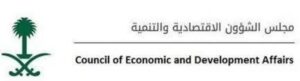 «الشؤون الاقتصادية والتنمية» يناقش عددا من الموضوعات والعروض – أخبار السعودية