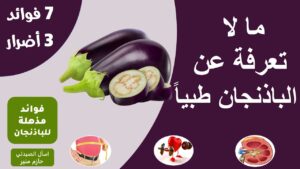 فوائد الباذنجان – اضرار الباذنجان | فوائد مذهلة للباذنجان