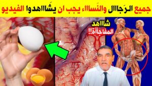 تناول البيض بهذه الطريقة الصحيحة سيجعلك كالحصان قبل النوم علاج البروستاتا .. استعد شبابك – البيض