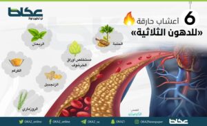 أعشاب حارقة للدهون الثلاثية – أخبار السعودية