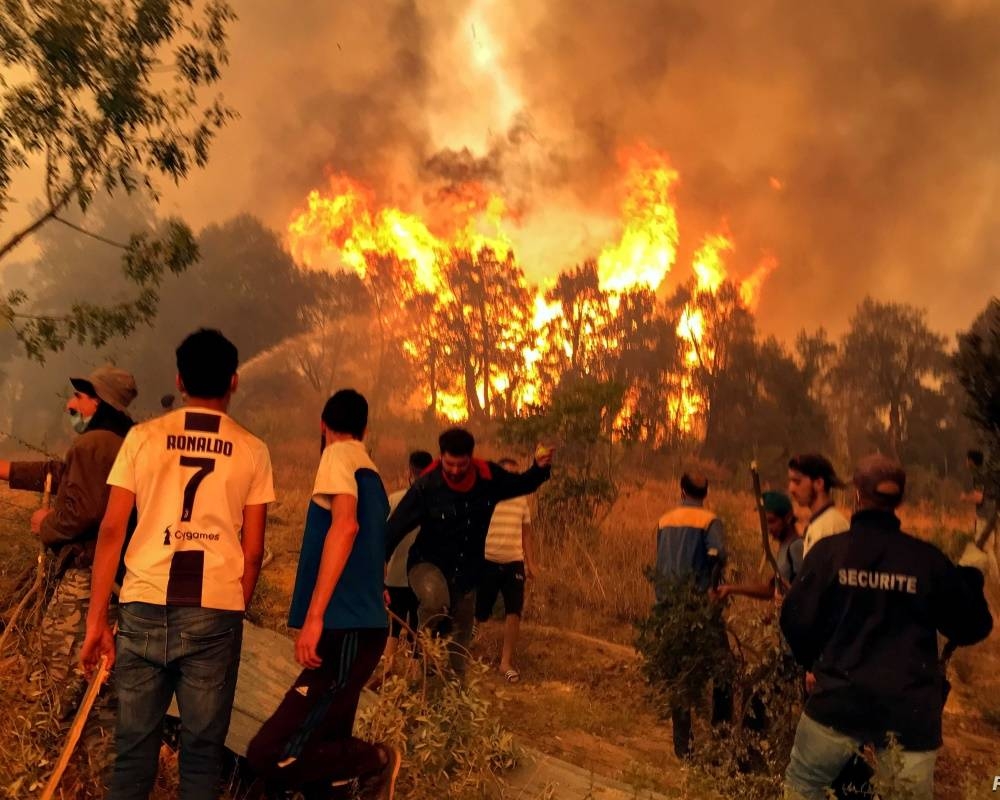 الجزائر: وفاة 15 شخصاً في حرائق الغابات – أخبار السعودية