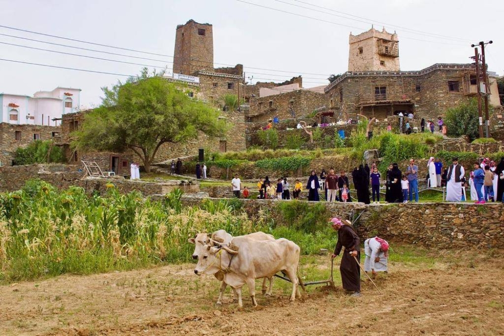 مهرجان الأطاولة يستحوذ على زوار الباحة هذا العام – أخبار السعودية