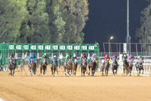 مهرجان كأس الملك فيصل لسباقات الخيل.. السبت القادم – أخبار السعودية