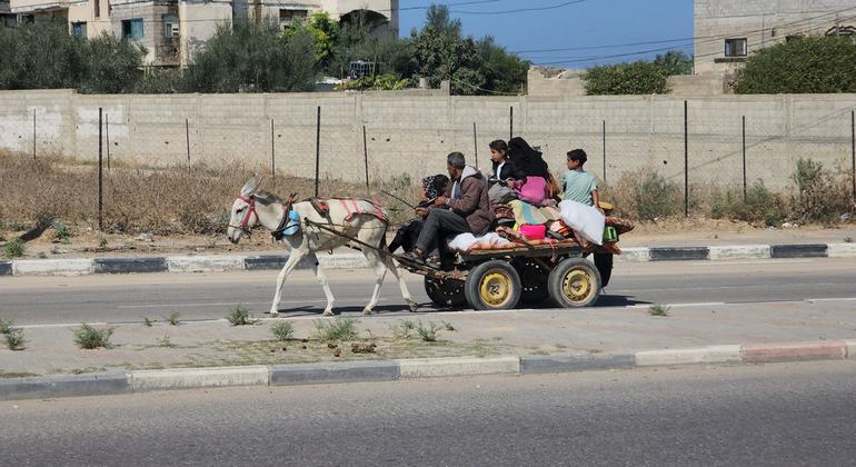 الأمم المتحدة: جميع سكان غزة يعانون من انعدام الأمن الغذائي