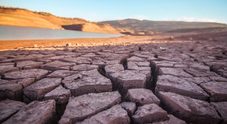 كل ما تحتاجون معرفته عن مؤتمر الأمم المتحدة المعني بتغير المناخ (COP28)