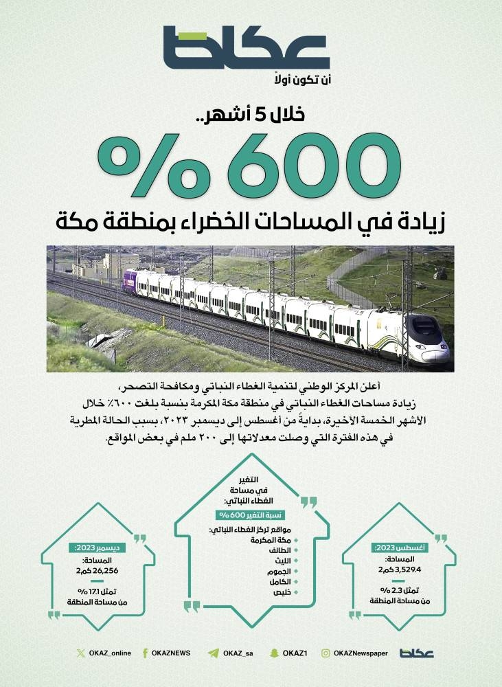 «الغطاء النباتي»: 600% زيادة في المساحات الخضراء بمنطقة مكة.. خلال 5 أشهر – أخبار السعودية