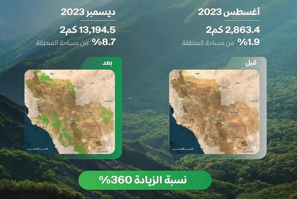 «الغطاء النباتي»: 360% زيادة المساحات الخضراء في منطقة المدينة المنورة خلال 5 أشهر – أخبار السعودية