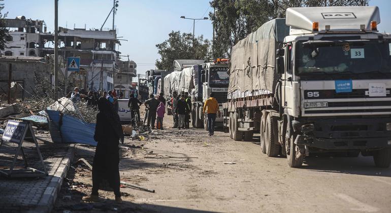 فيديو: رحلة قوافل الإغاثة من بورسعيد والعريش في مصر إلى غزة